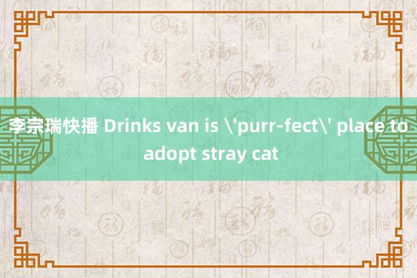 李宗瑞快播 Drinks van is 'purr-fect' place to adopt stray cat