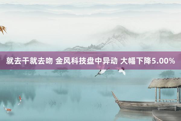 就去干就去吻 金风科技盘中异动 大幅下降5.00%