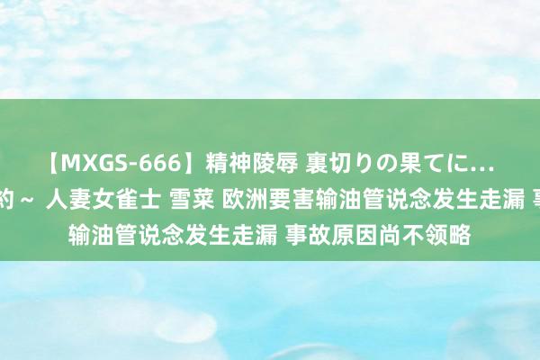 【MXGS-666】精神陵辱 裏切りの果てに… 後編 ～性奴隷契約～ 人妻女雀士 雪菜 欧洲要害输油管说念发生走漏 事故原因尚不领略