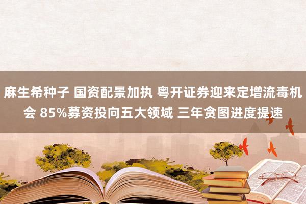 麻生希种子 国资配景加执 粤开证券迎来定增流毒机会 85%募资投向五大领域 三年贪图进度提速