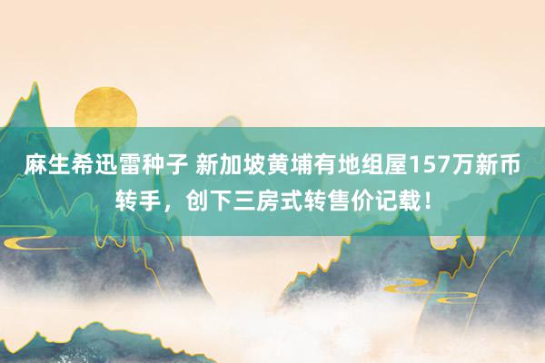 麻生希迅雷种子 新加坡黄埔有地组屋157万新币转手，创下三房式转售价记载！