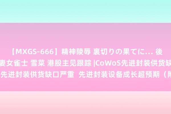 【MXGS-666】精神陵辱 裏切りの果てに… 後編 ～性奴隷契約～ 人妻女雀士 雪菜 港股主见跟踪 |CoWoS先进封装供货缺口严重  先进封装设备成长超预期（附主见股）