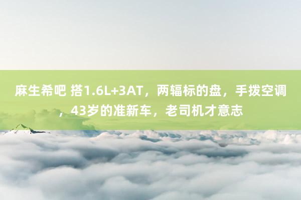 麻生希吧 搭1.6L+3AT，两辐标的盘，手拨空调，43岁的准新车，老司机才意志