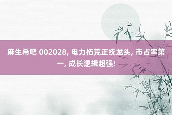 麻生希吧 002028, 电力拓荒正统龙头, 市占率第一, 成长逻辑超强!