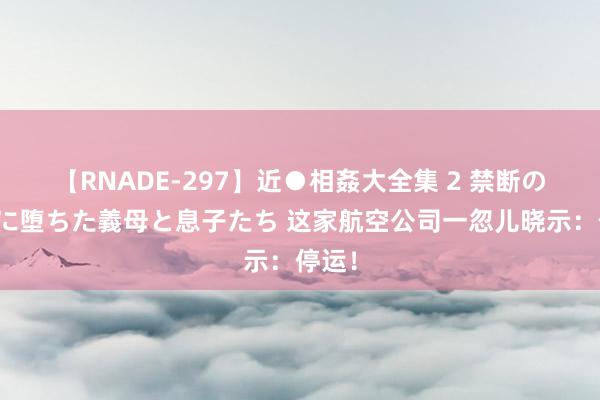 【RNADE-297】近●相姦大全集 2 禁断の性愛に堕ちた義母と息子たち 这家航空公司一忽儿晓示：停运！