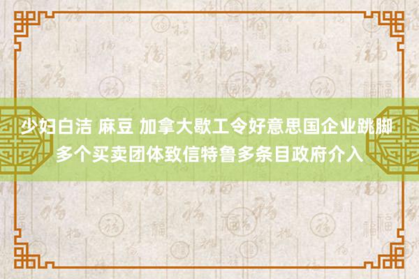 少妇白洁 麻豆 加拿大歇工令好意思国企业跳脚 多个买卖团体致信特鲁多条目政府介入