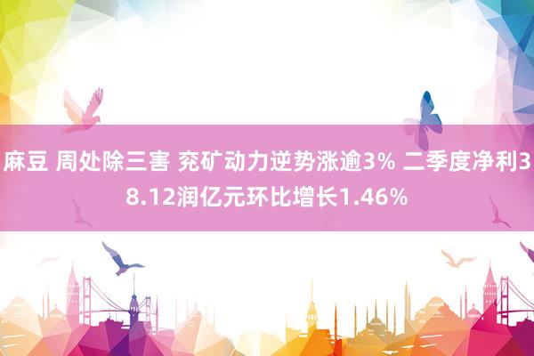 麻豆 周处除三害 兖矿动力逆势涨逾3% 二季度净利38.12润亿元环比增长1.46%