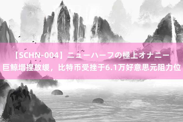 【SCHN-004】ニューハーフの極上オナニー 巨鲸增捏放缓，比特币受挫于6.1万好意思元阻力位