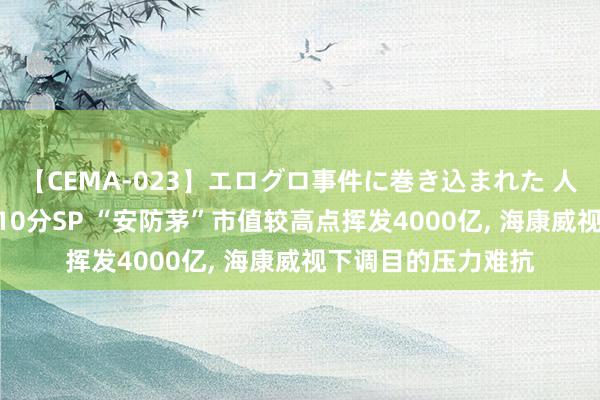 【CEMA-023】エログロ事件に巻き込まれた 人妻たちの昭和史 210分SP “安防茅”市值较高点挥发4000亿, 海康威视下调目的压力难抗