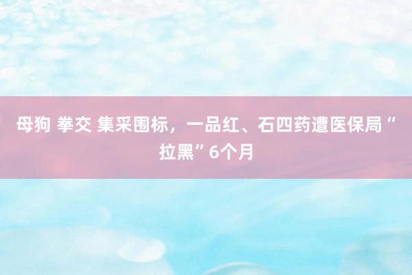 母狗 拳交 集采围标，一品红、石四药遭医保局“拉黑”6个月