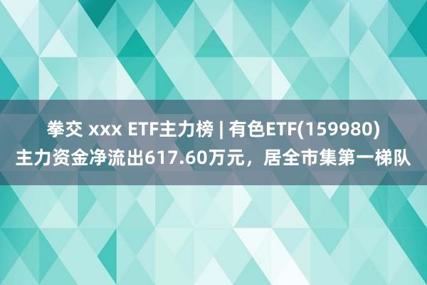 拳交 xxx ETF主力榜 | 有色ETF(159980)主力资金净流出617.60万元，居全市集第一梯队