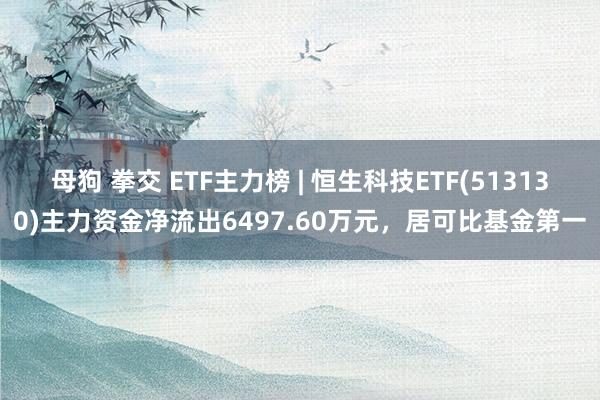 母狗 拳交 ETF主力榜 | 恒生科技ETF(513130)主力资金净流出6497.60万元，居可比基金第一