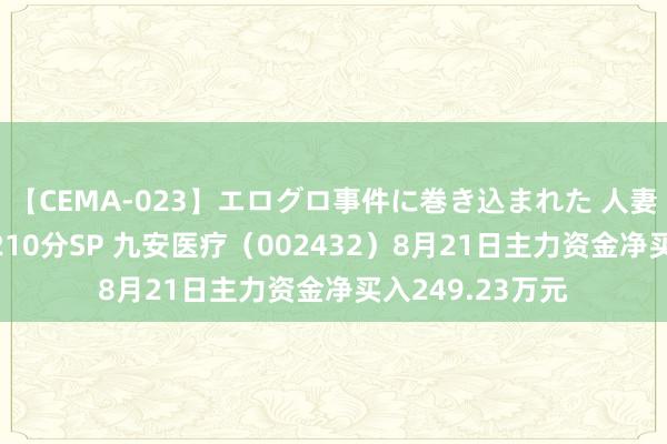 【CEMA-023】エログロ事件に巻き込まれた 人妻たちの昭和史 210分SP 九安医疗（002432）8月21日主力资金净买入249.23万元