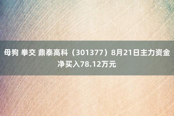 母狗 拳交 鼎泰高科（301377）8月21日主力资金净买入78.12万元