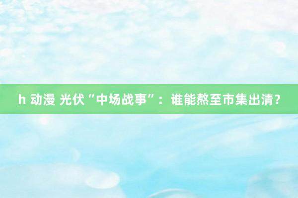 h 动漫 光伏“中场战事”：谁能熬至市集出清？