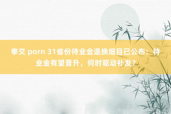 拳交 porn 31省份待业金退换细目已公布：待业金有望晋升，何时驱动补发？