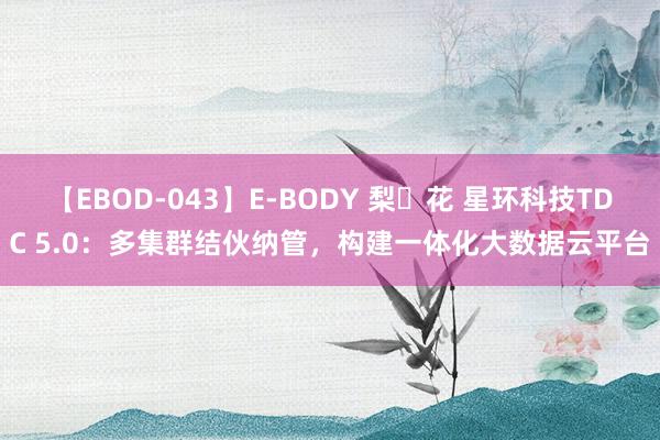 【EBOD-043】E-BODY 梨々花 星环科技TDC 5.0：多集群结伙纳管，构建一体化大数据云平台