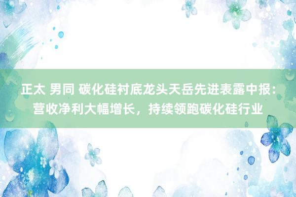 正太 男同 碳化硅衬底龙头天岳先进表露中报：营收净利大幅增长，持续领跑碳化硅行业