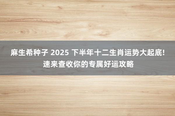 麻生希种子 2025 下半年十二生肖运势大起底! 速来查收你的专属好运攻略